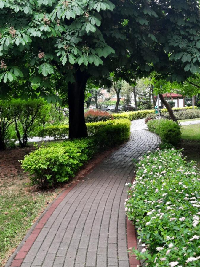 Апартаменты Apartament W Centrum Wroclawia Номер фото