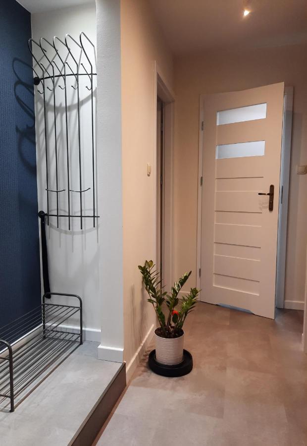 Апартаменты Apartament W Centrum Wroclawia Экстерьер фото
